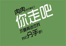 pr18九尾狐开车
